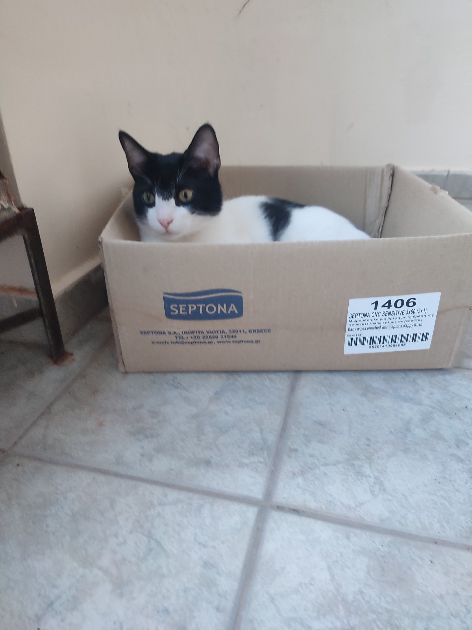 Μάθημα